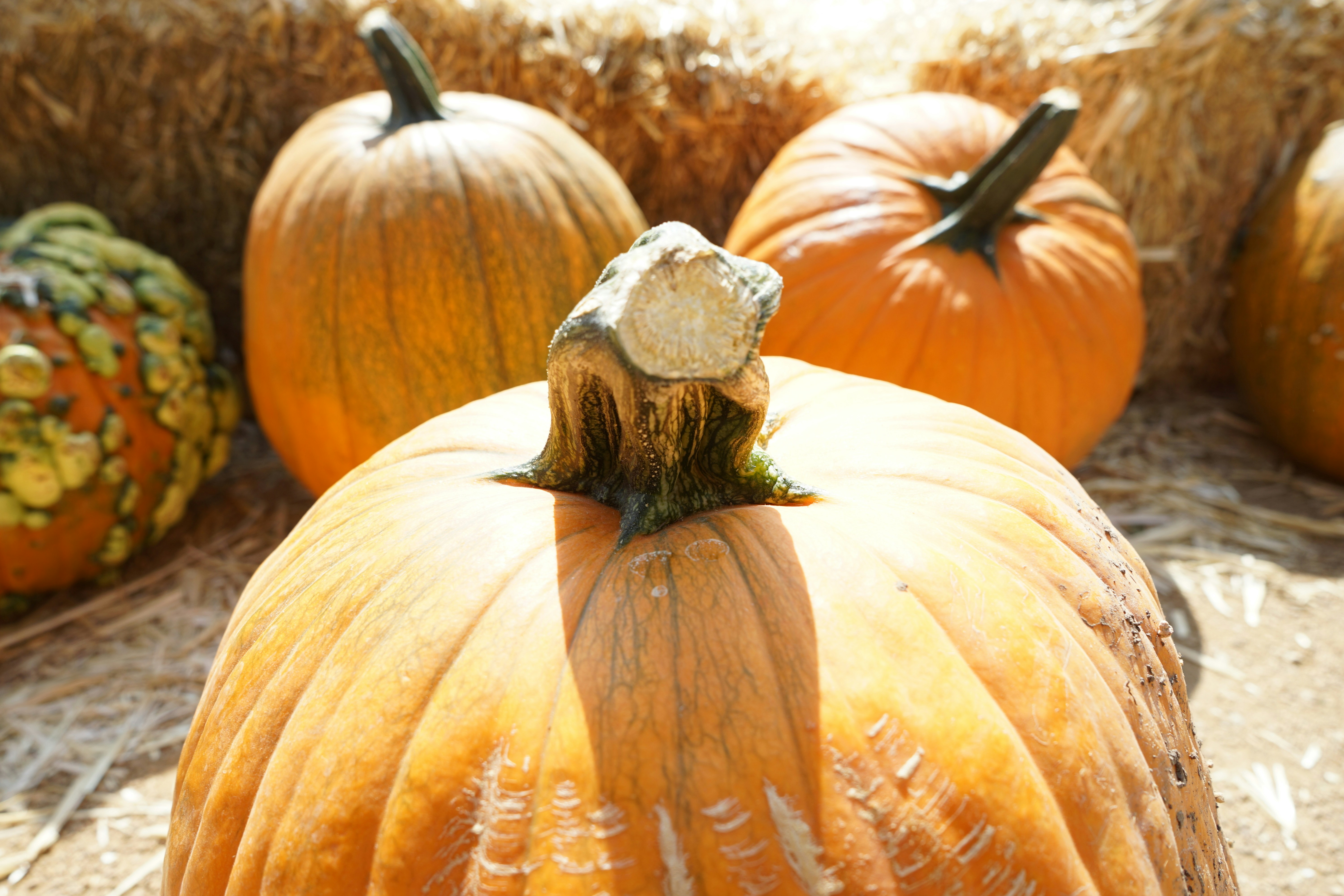 Photo by denisseleon