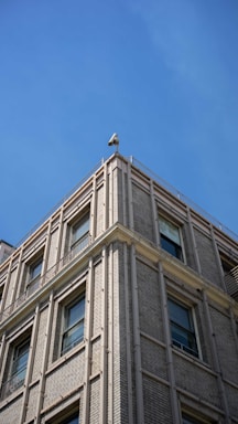 A corner of a multi-story building with a classic brick facade under a clear blue sky. The building features large windows with decorative moldings and a security camera mounted at the top corner, facing outward.