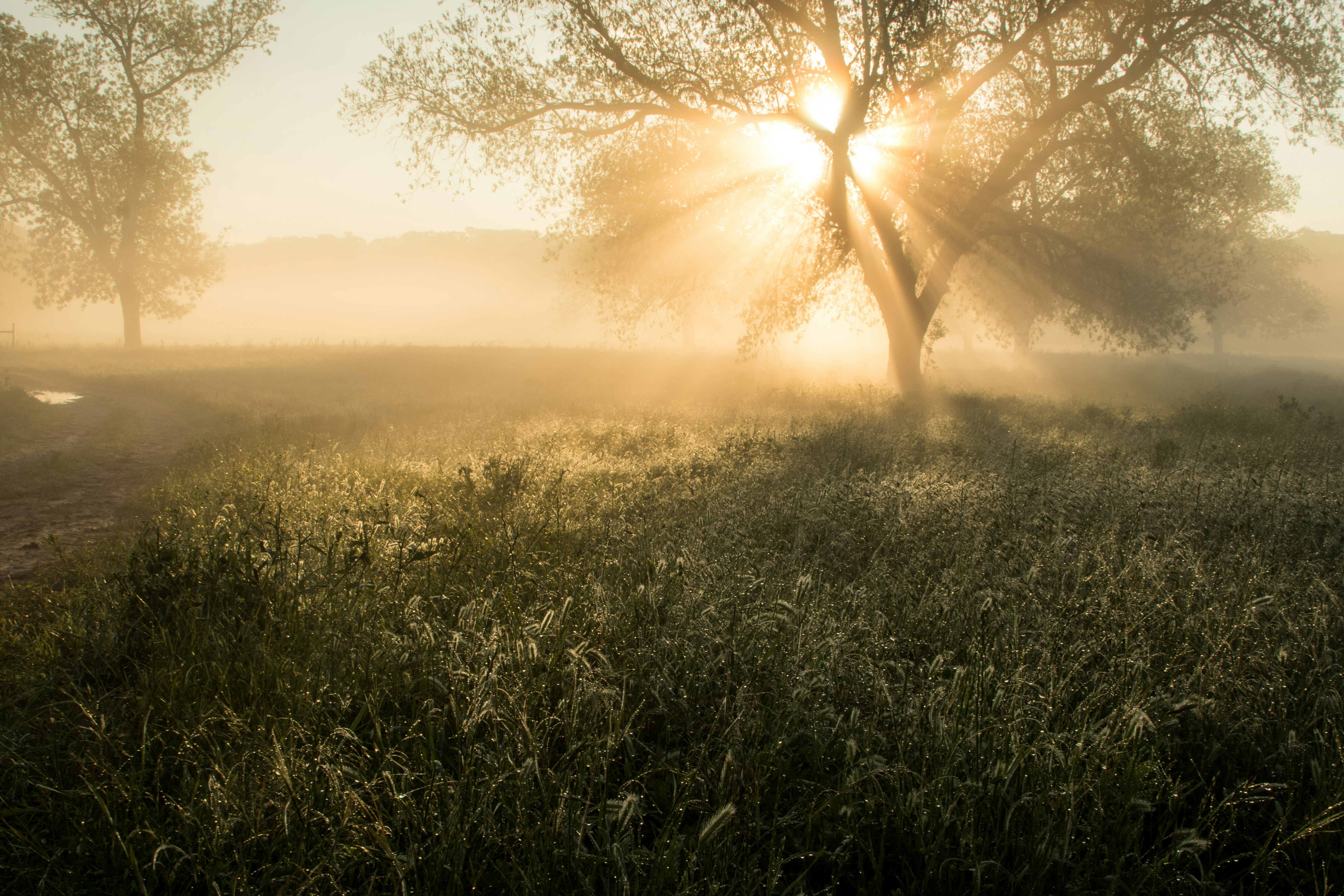 Photo by matthewelancaster