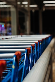 blue and gray shopping carts