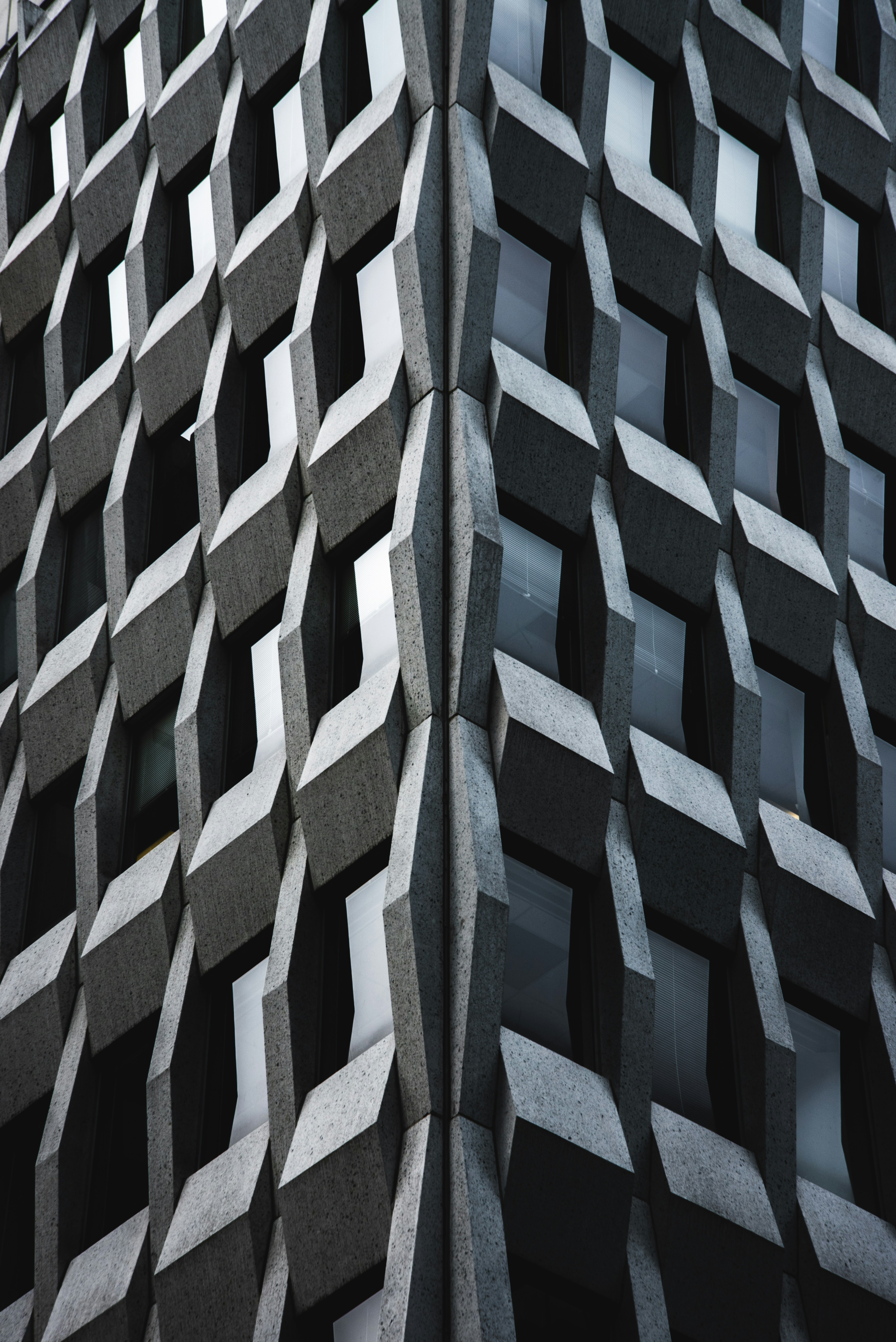 Photo by ryunosuke_kikuno