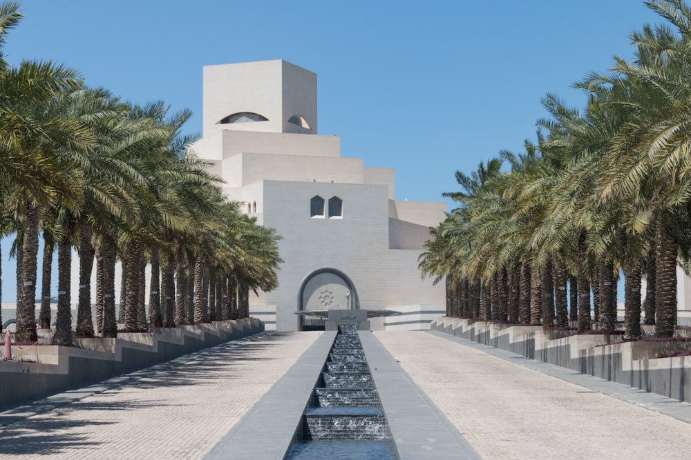 green palm trees near white concrete building during daytime