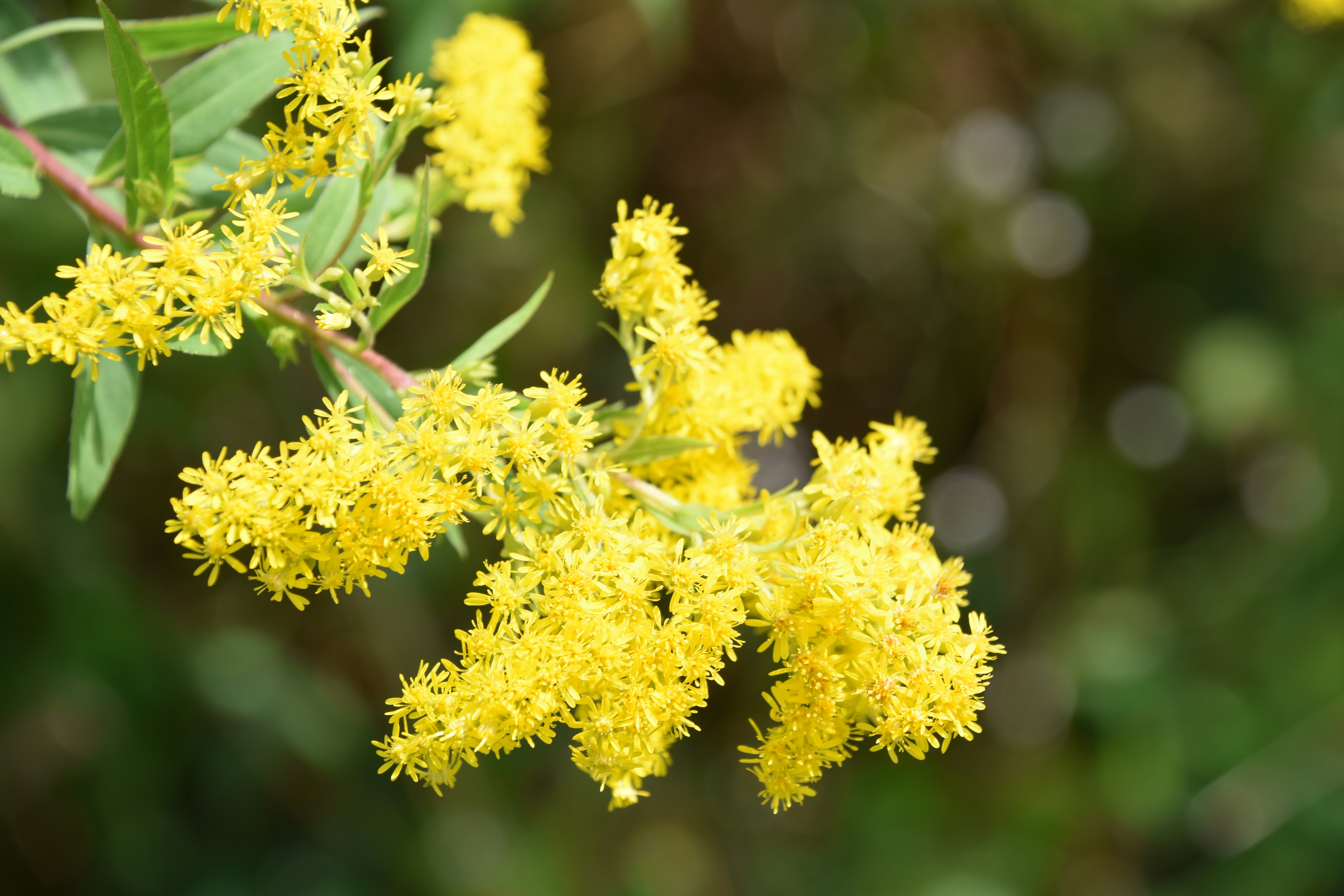 Photo by cindie_photographer