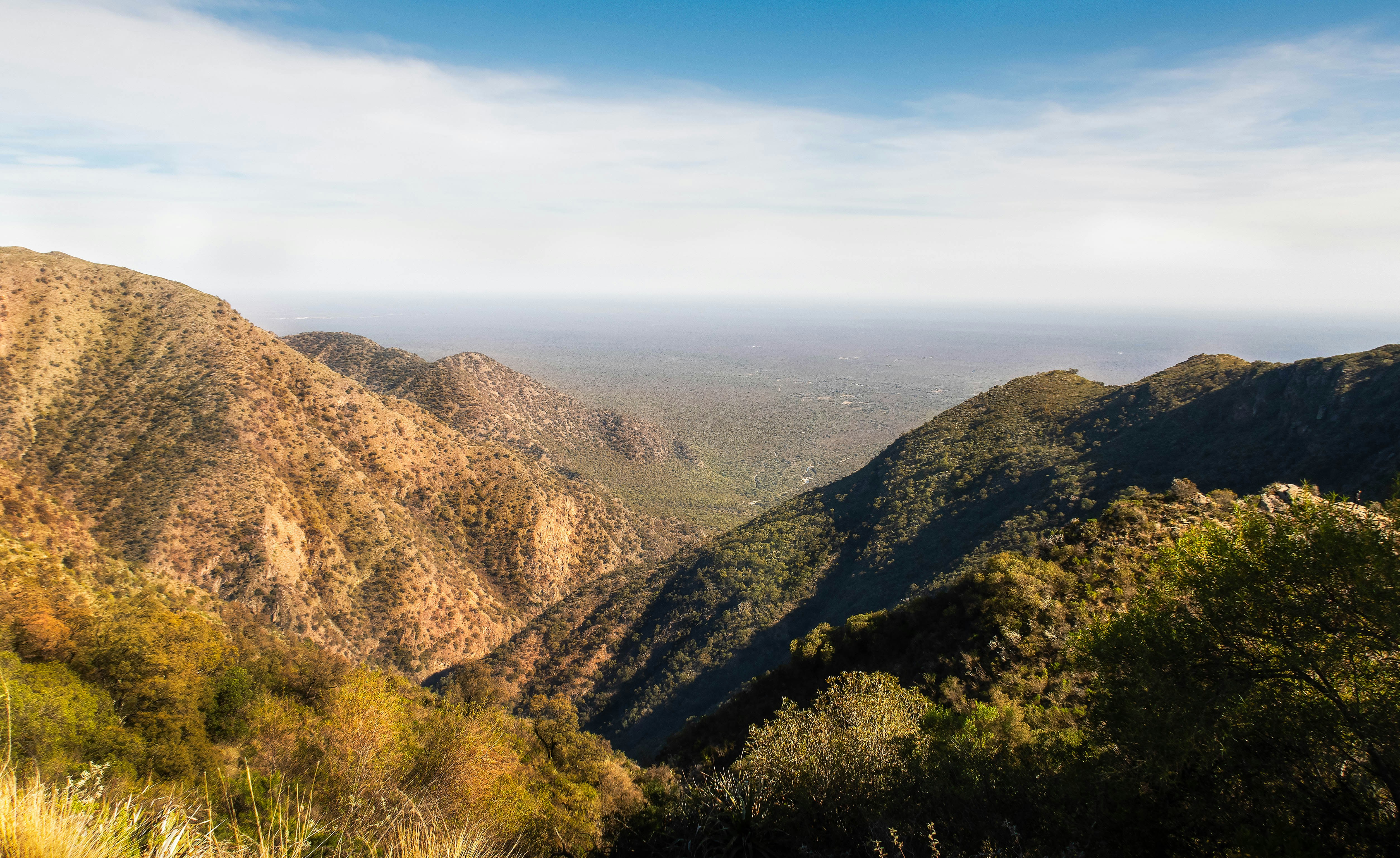 Photo by argentinanatural