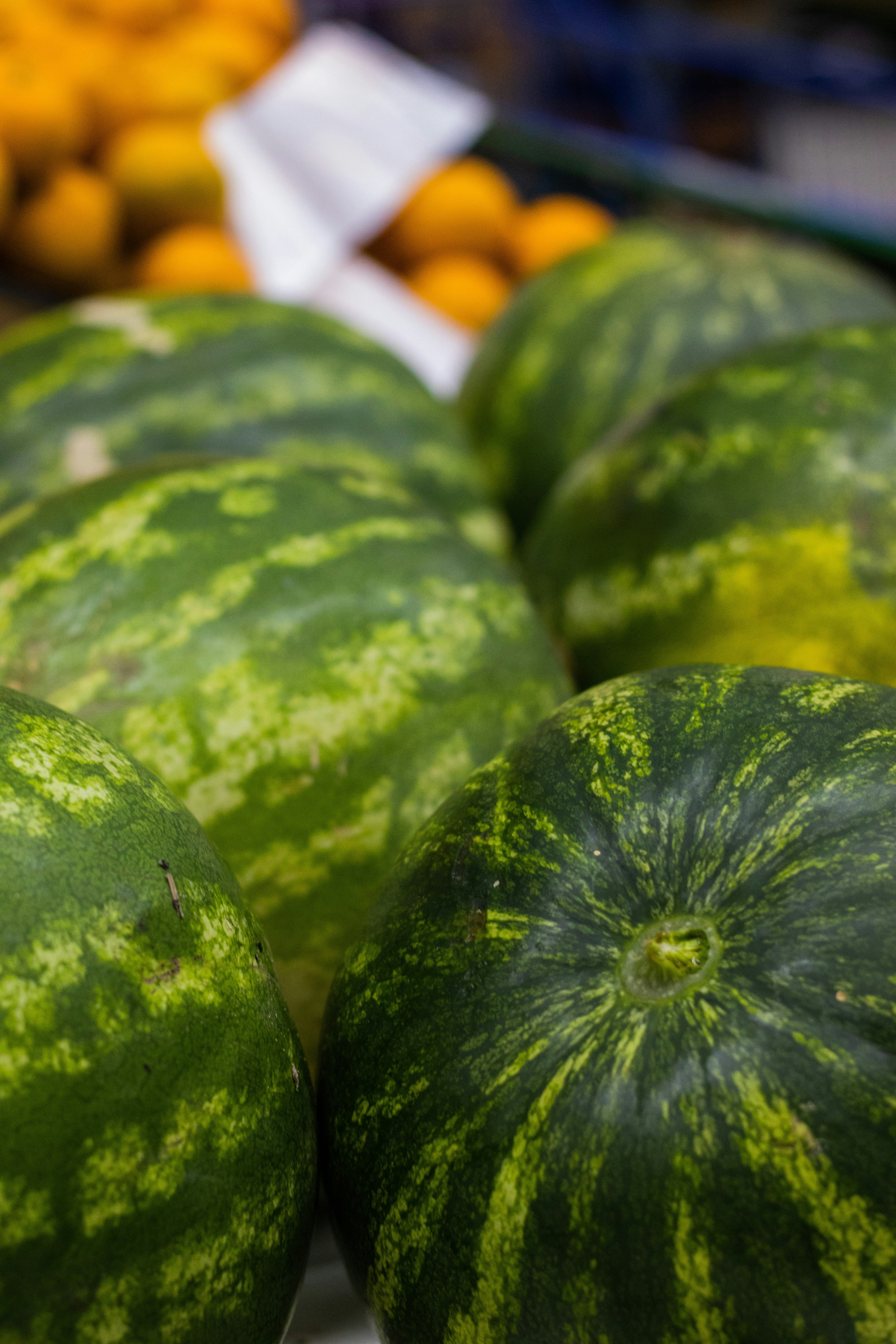 Photo by eduschadesoares