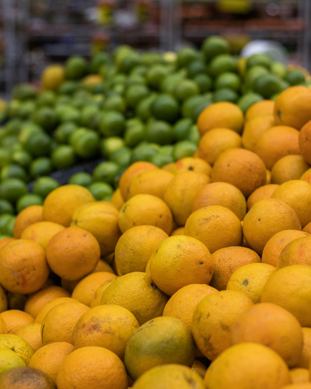 frutas cítricas amarelas em exposição