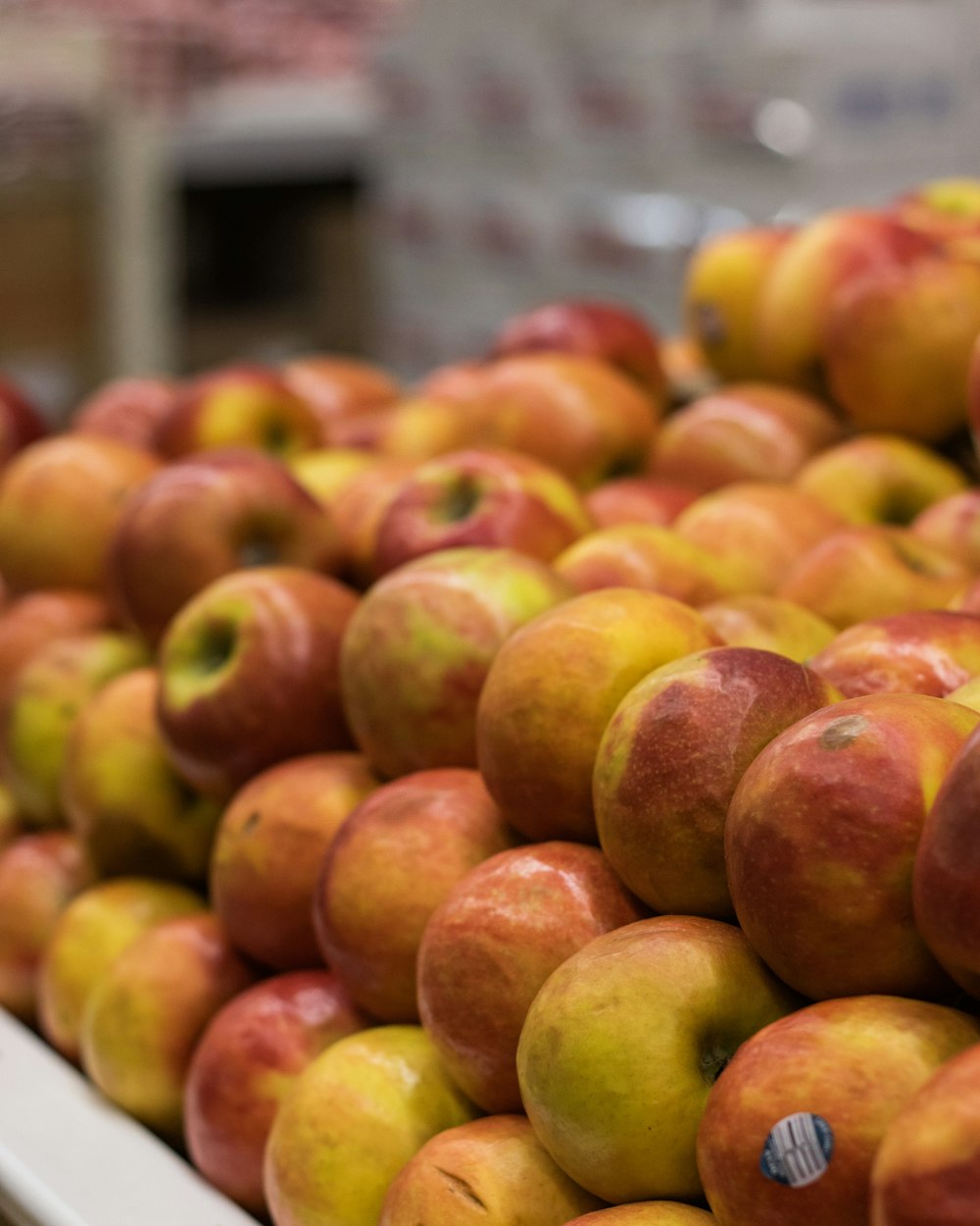 green and red apple fruit lot