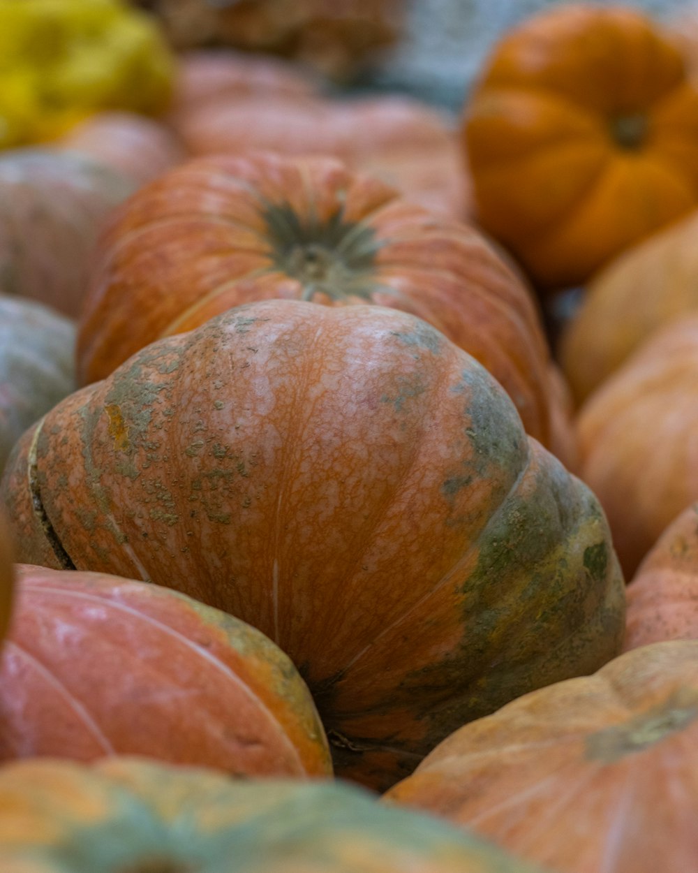 orange pumpkin on brown wooden table