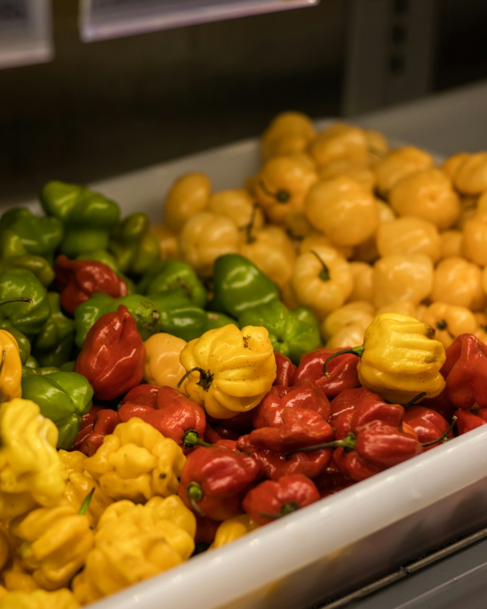 yellow and red bell peppers