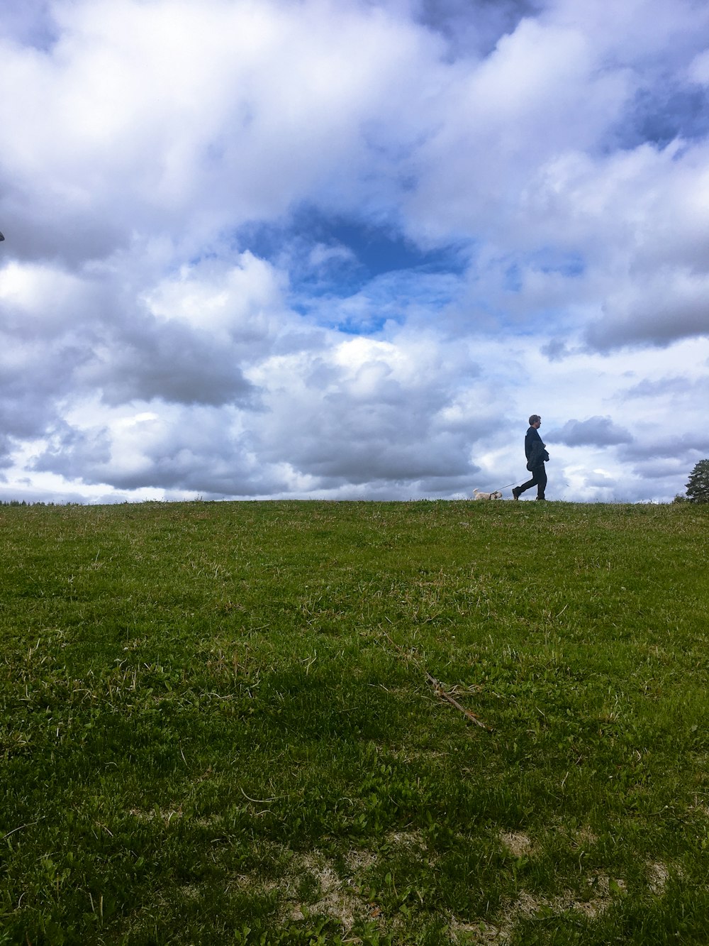 person standing on green grass field under white clouds during daytime