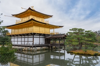 brown and white wooden house on water