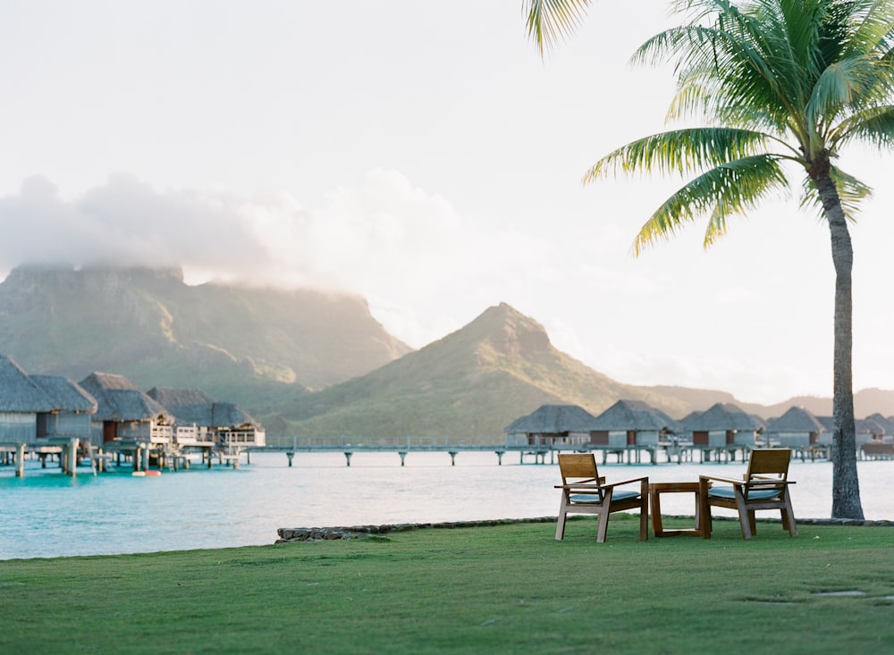 white wooden chairs on green grass field near body of water during daytime