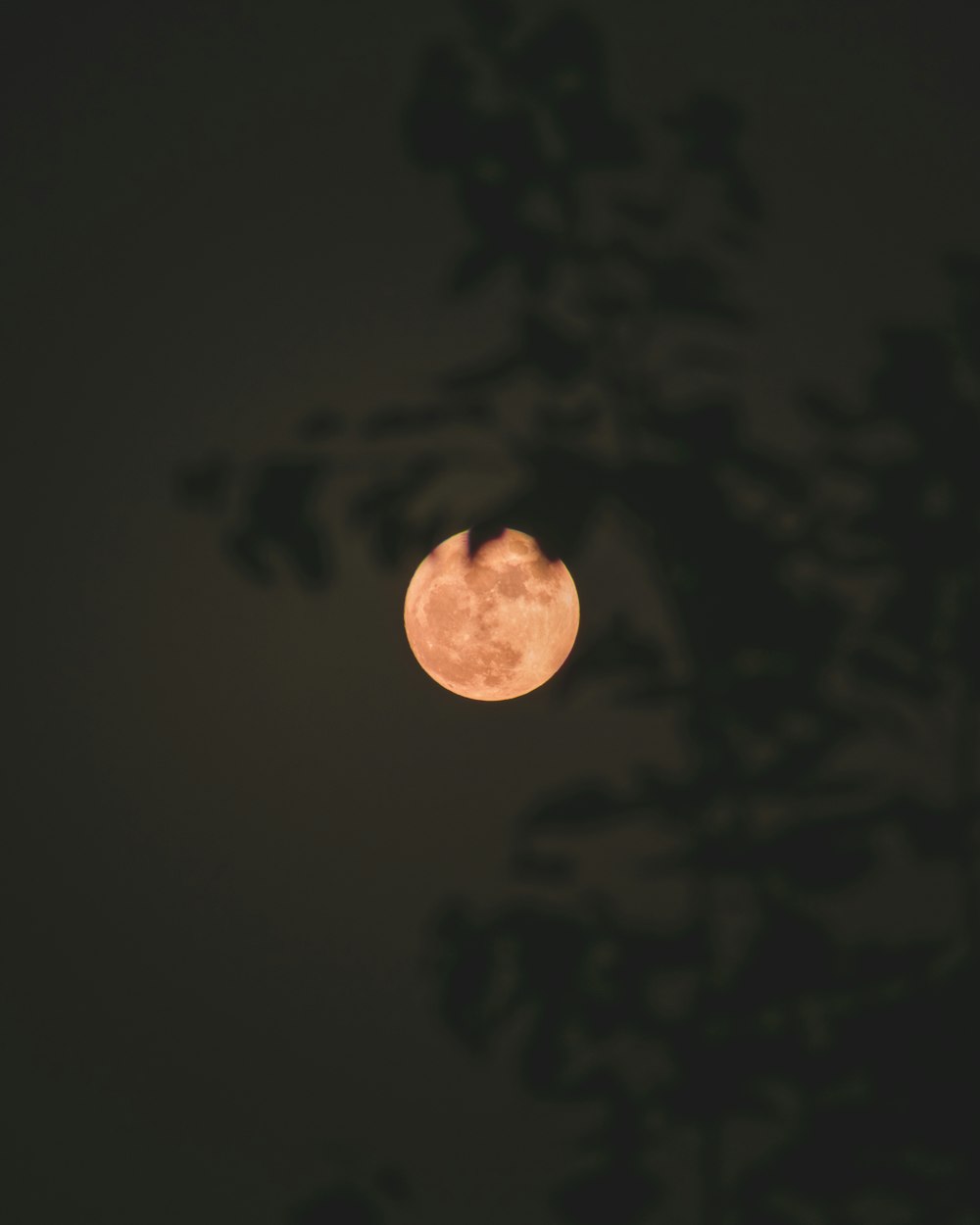 밤하늘의 보름달