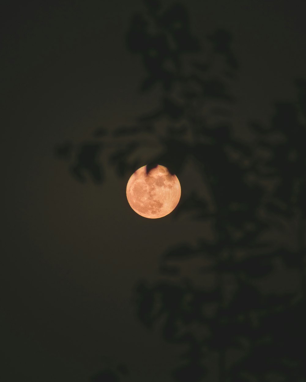 full moon in the night sky