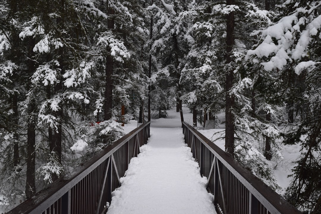 Bridge photo spot Banff Grassi Lakes