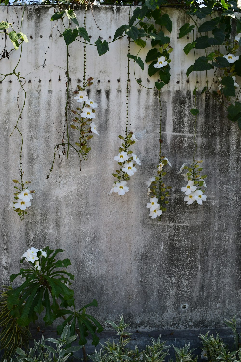 white and yellow flowers on gray textile