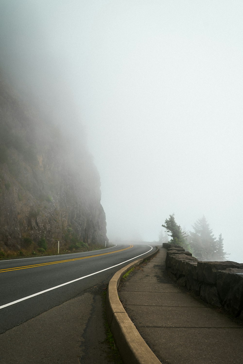camino de concreto gris entre árboles cubiertos de niebla