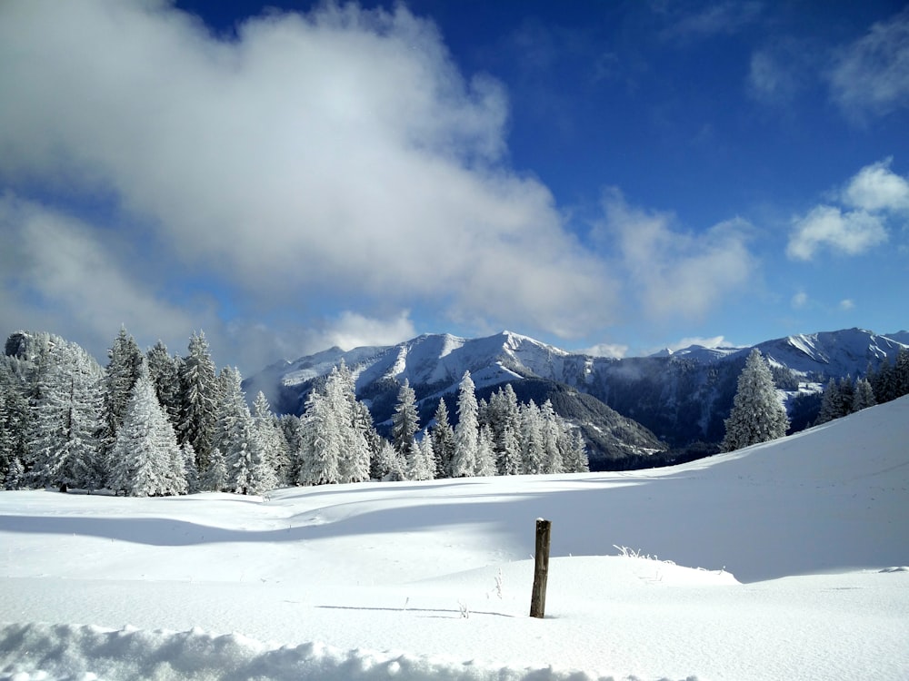 snow covered mountain under blue sky during daytime