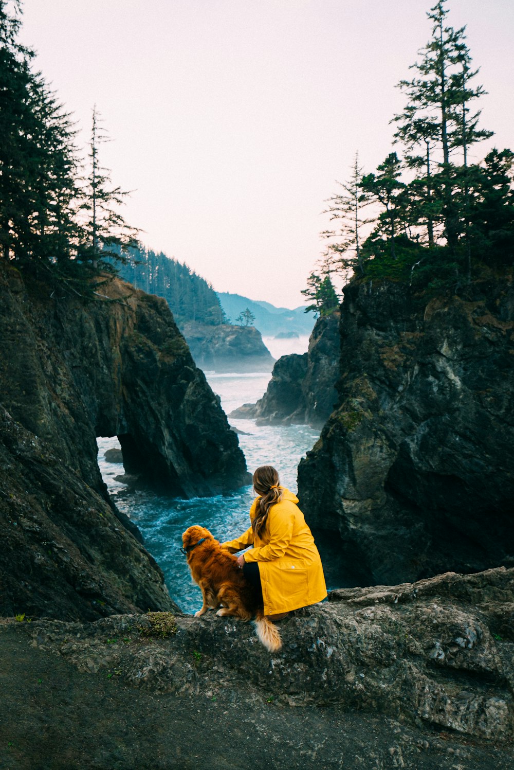 茶色の犬のそばの岩の上に座っている黄色いジャケットの女性
