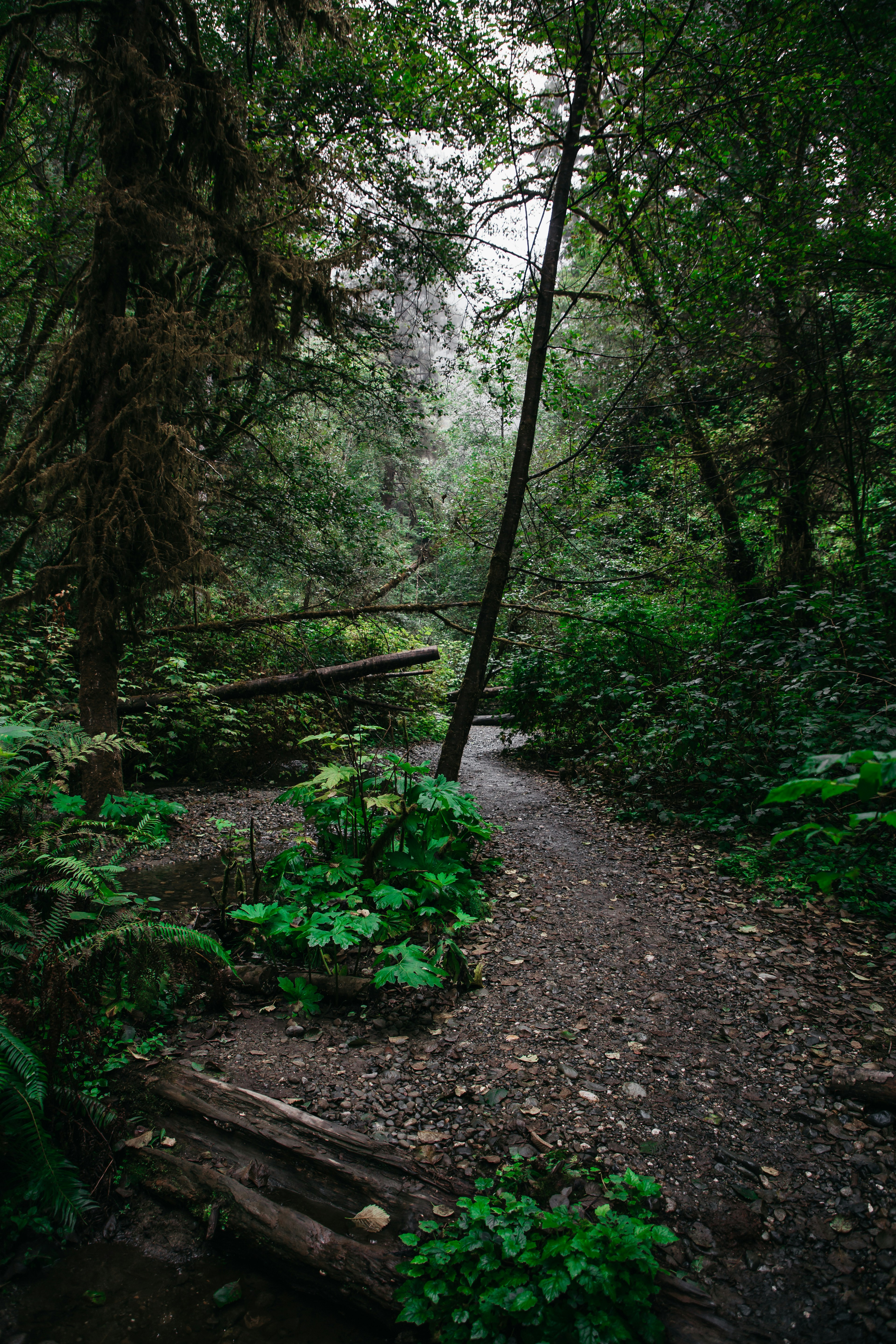 Photo by elijahdhiett