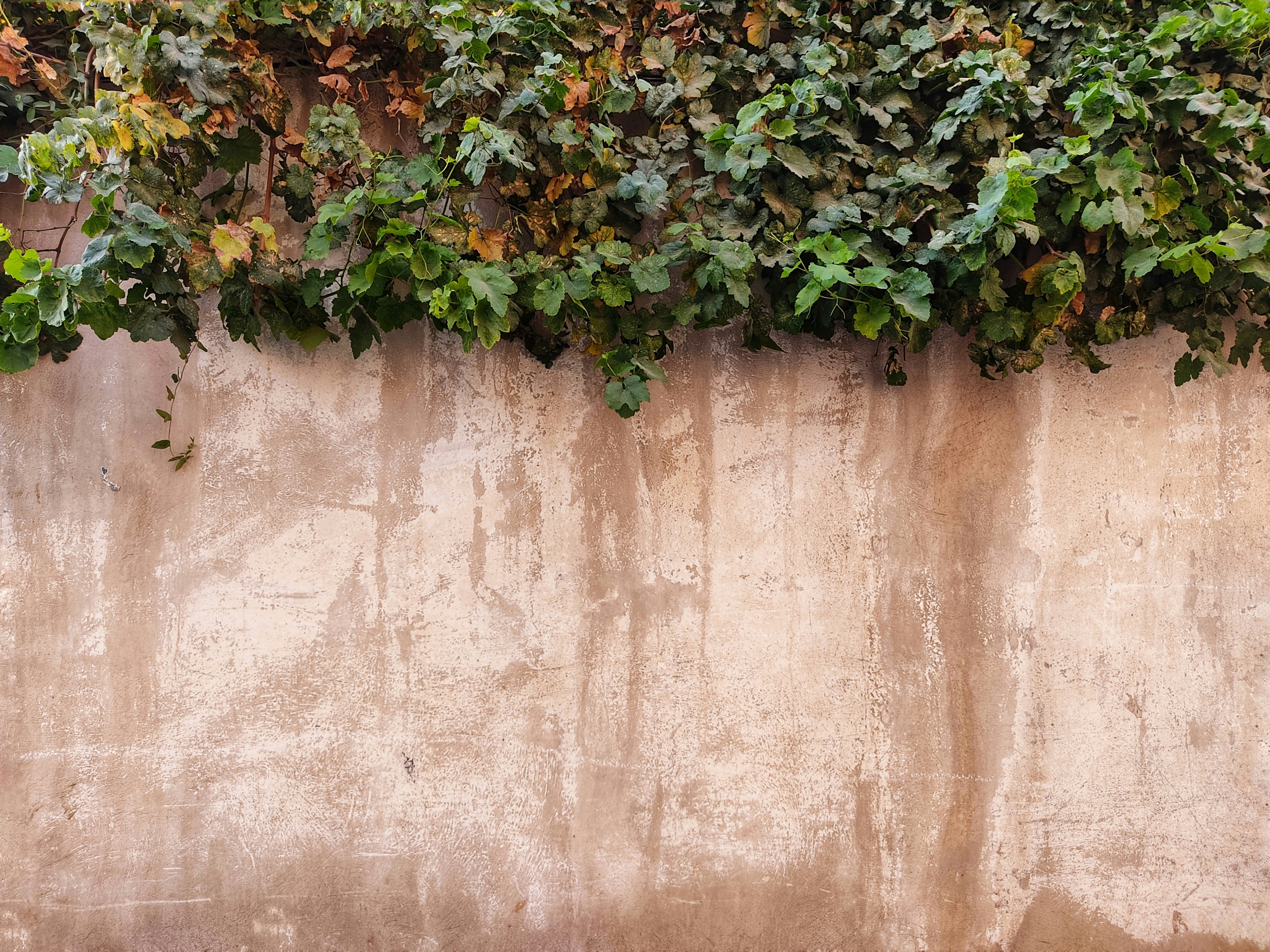 Photo by mahbube_baqeri