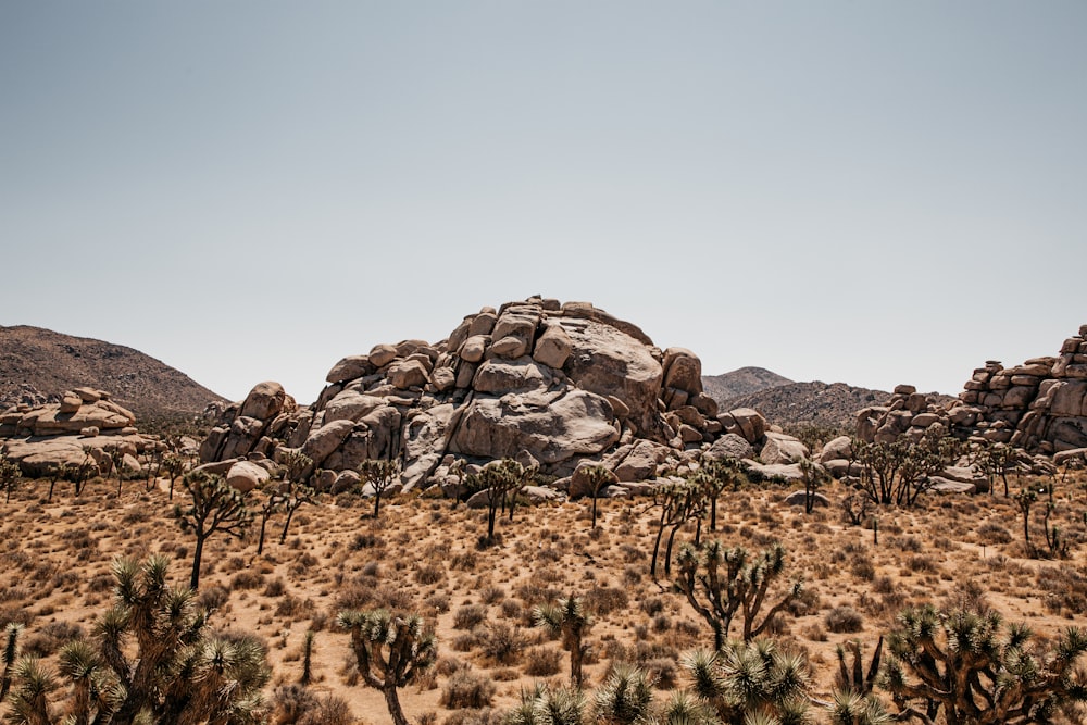 Braunes Grasfeld in der Nähe von Brown Rock Formation unter grauem Himmel während des Tages