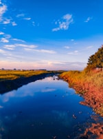 A serene landscape featuring a flowing river under a blue sky.