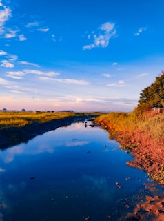 A serene landscape featuring a flowing river under a blue sky.