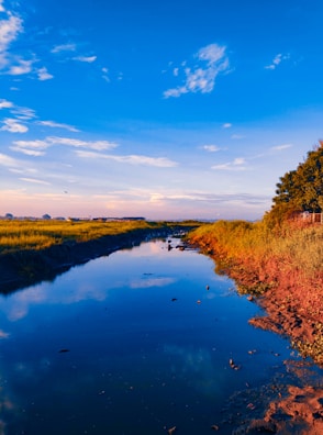 A serene landscape with a flowing river under a blue sky.