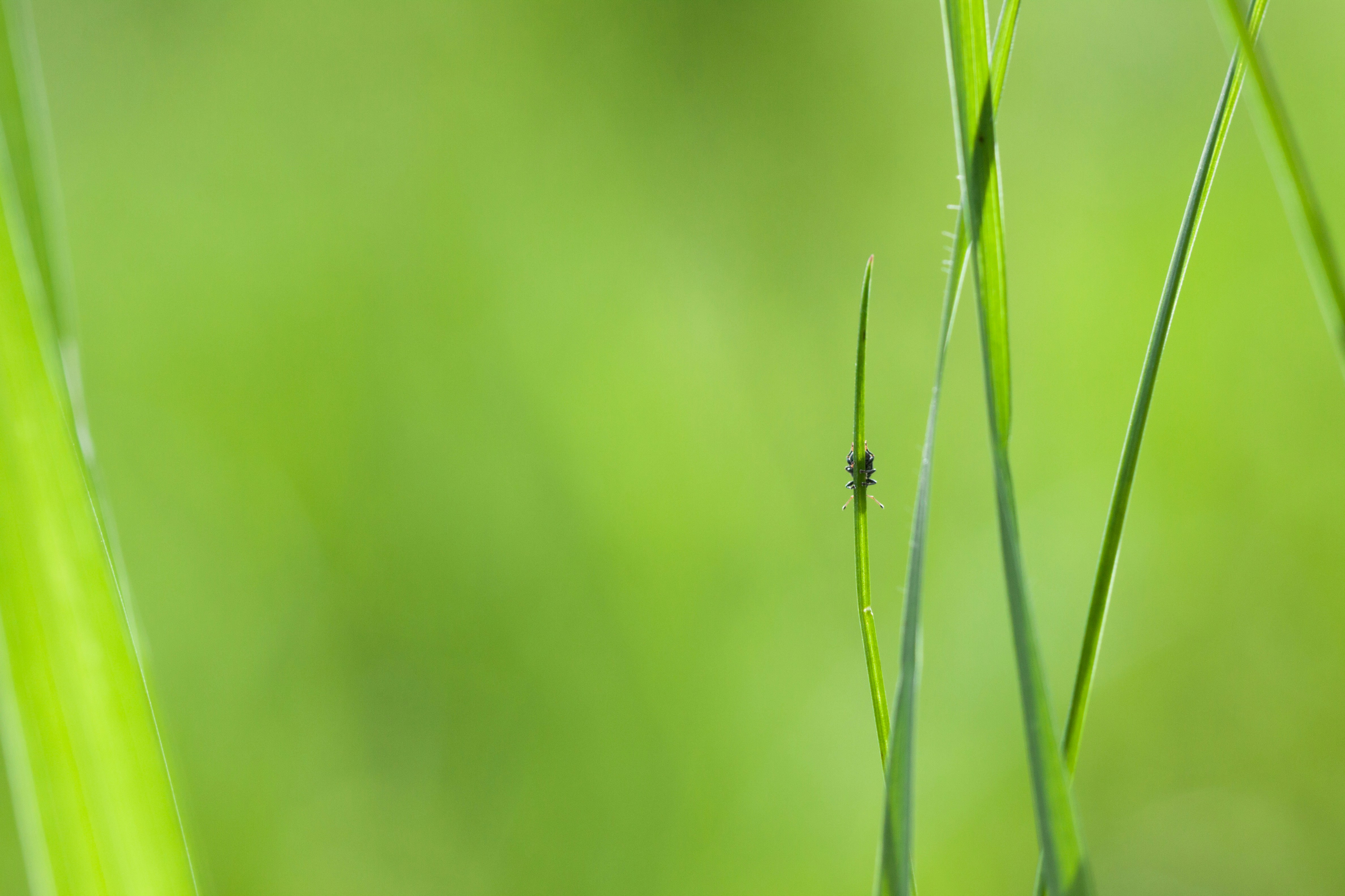 Photo by seralexphoto