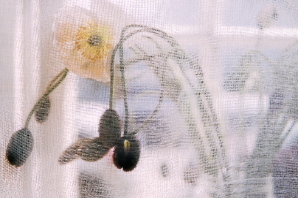 white and yellow flower on white textile