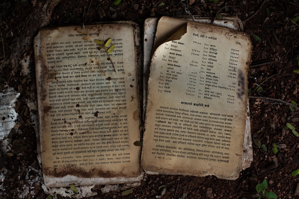 book page on brown dried leaves