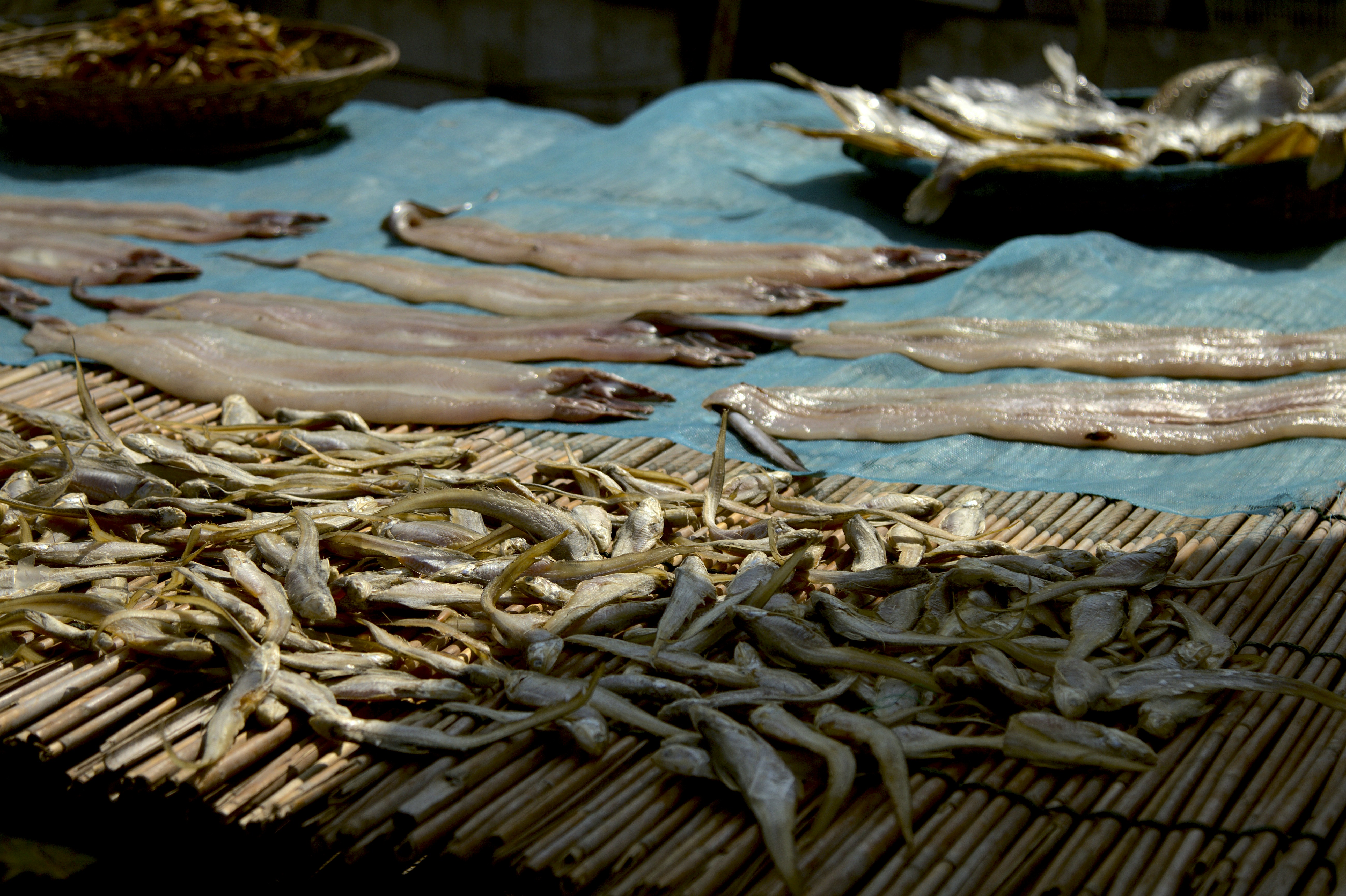 Sustainable Seafood Subscription Box