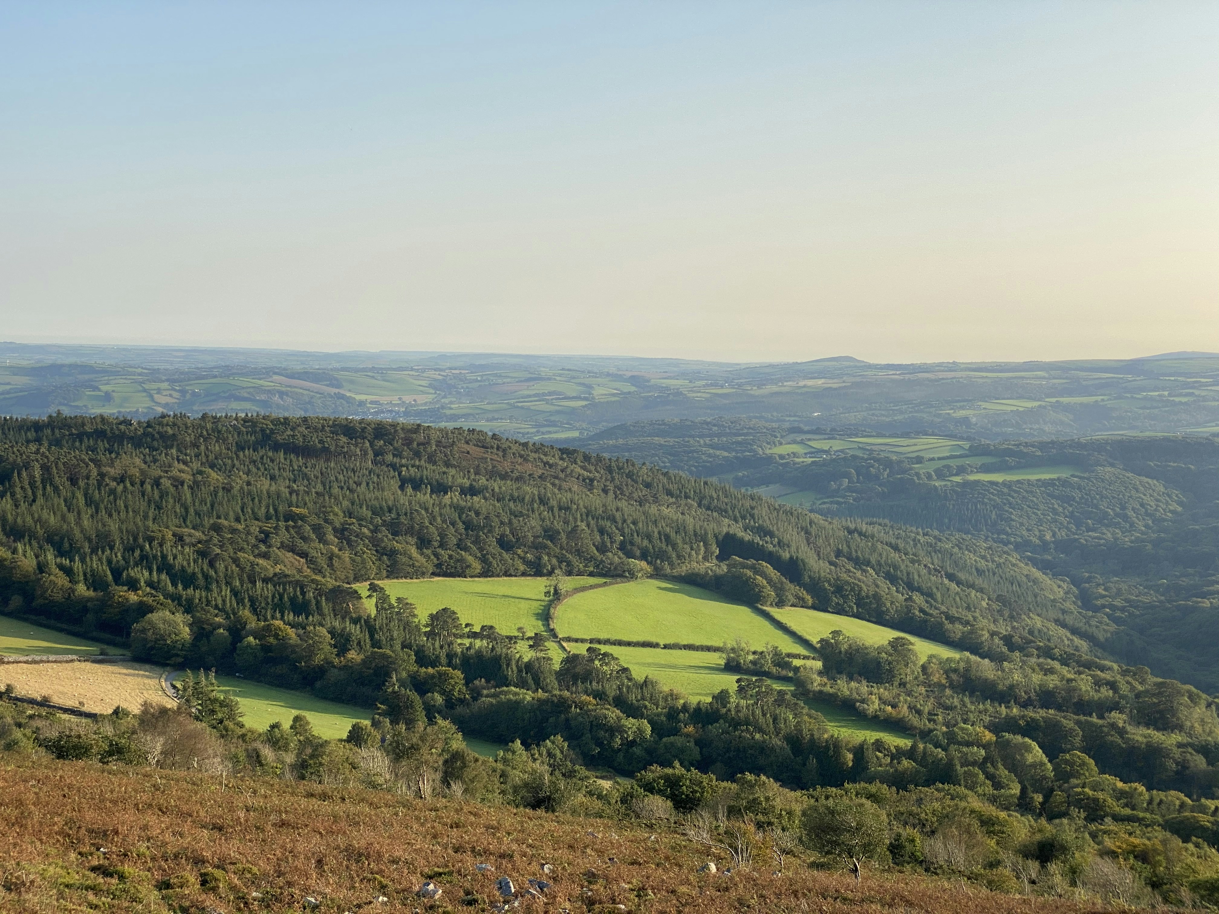 green grass field under white sky during daytime, Ten Commandments, over looking the river dart, dartmoor 