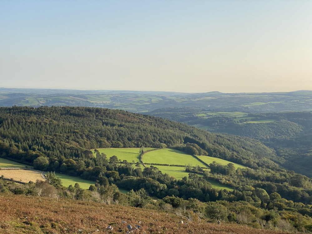 Grünes Grasfeld unter weißem Himmel tagsüber