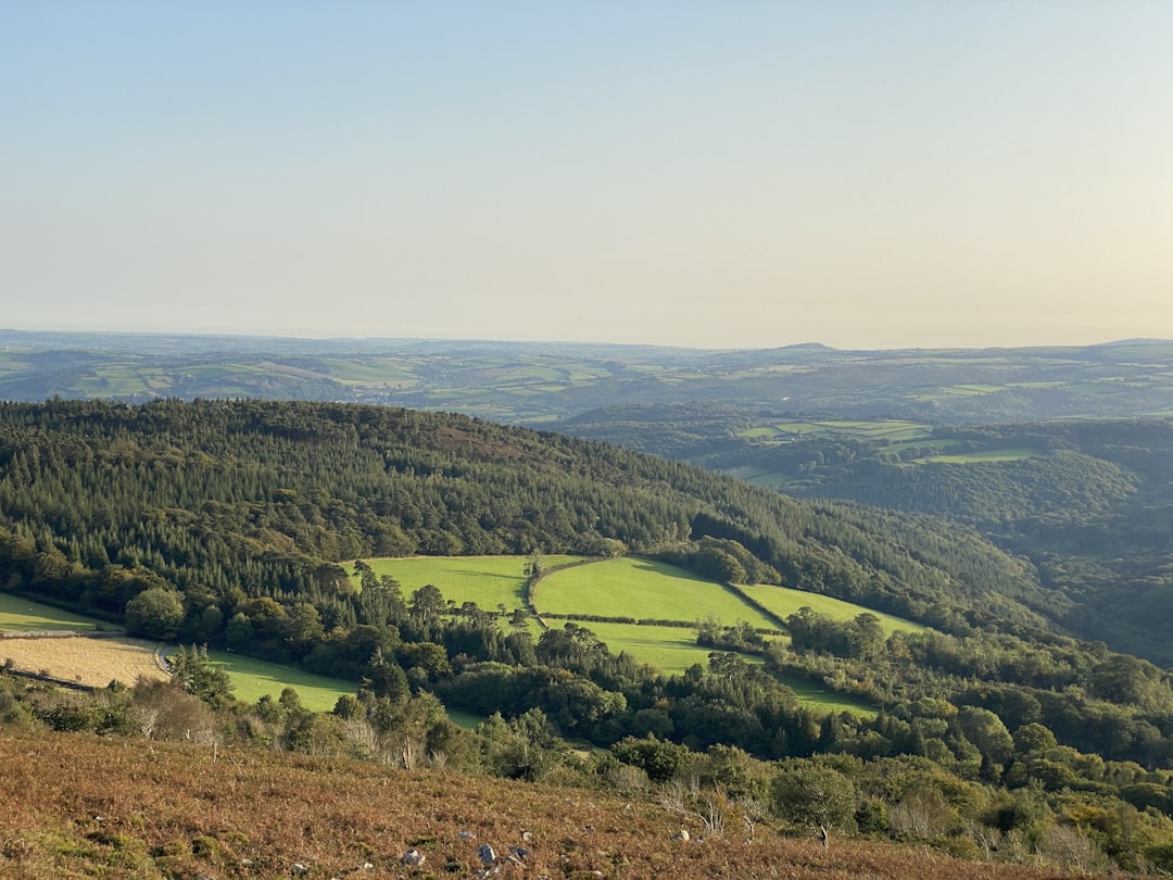 7 Unmissable UK Walking Festivals to Explore Britain's Natural Beau… — 7 Unmissable UK Walking Festivals to
