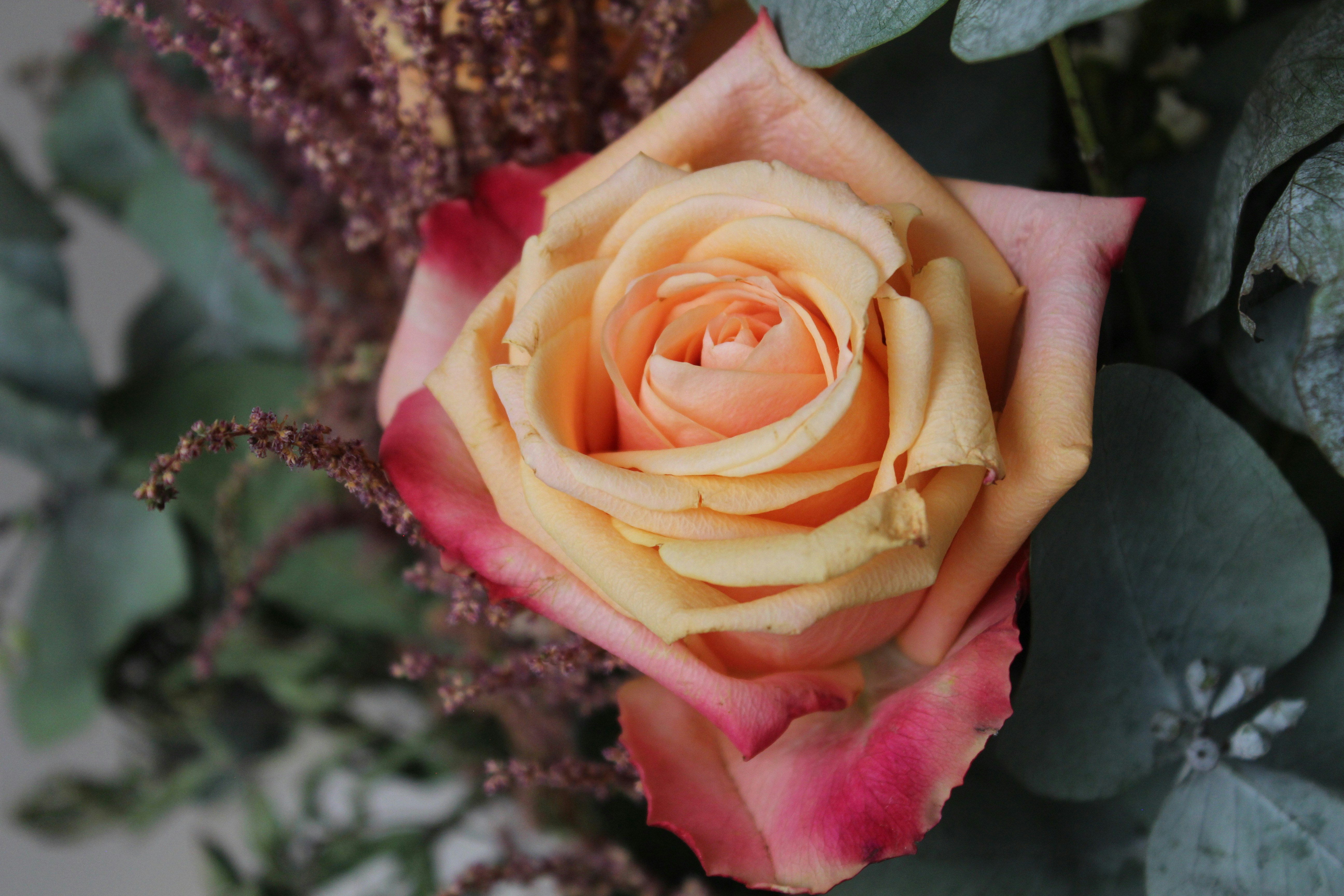 Photo by dreadloxholmes