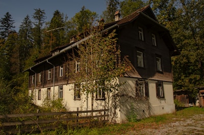 A fixer-upper with rustic charm, surrounded by mature trees and a large backyard.