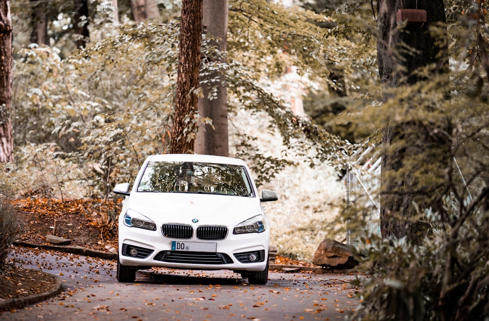 white car parked near brown tree during daytime