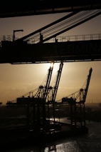 A panoramic view of various cranes lined up in an industrial yard during sunset.