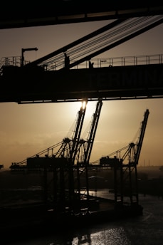 A panoramic view of various cranes lined up in an industrial yard during sunset.