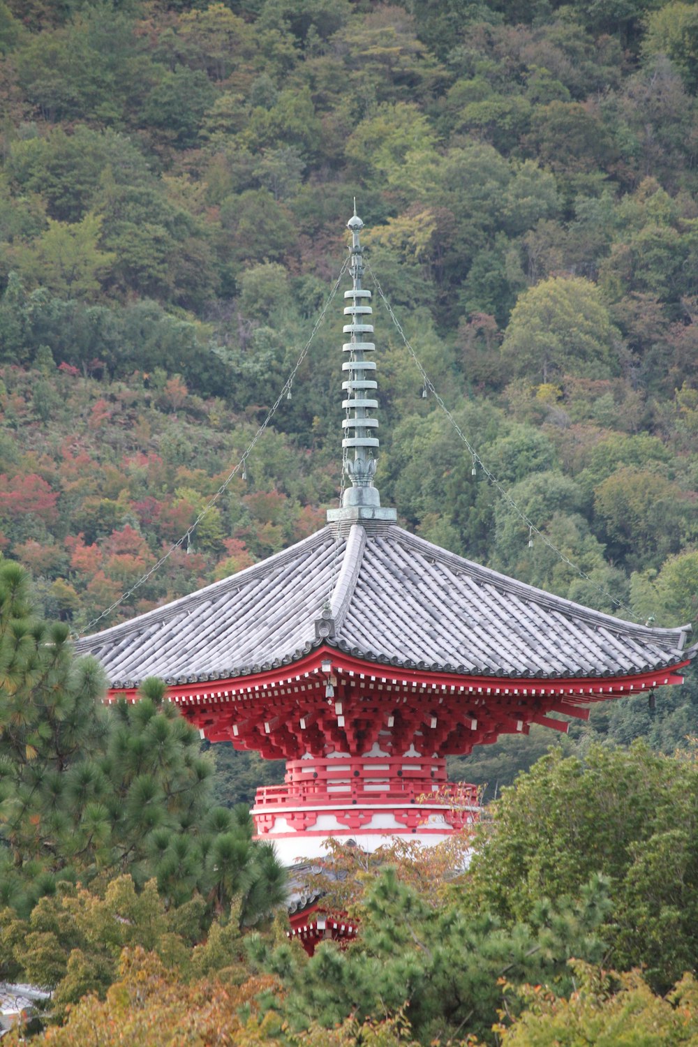 red and white temple surrounded by green trees during daytime