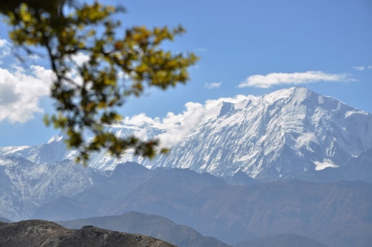 green tree near white mountain during daytime in Annapurna Sanctuary Nepal