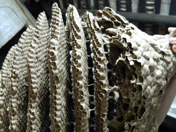 An intricate structure made of layered hexagonal patterns, resembling a honeycomb. The material looks like paper or a natural fiber with a rough texture. A hand can be seen holding the structure from one end.