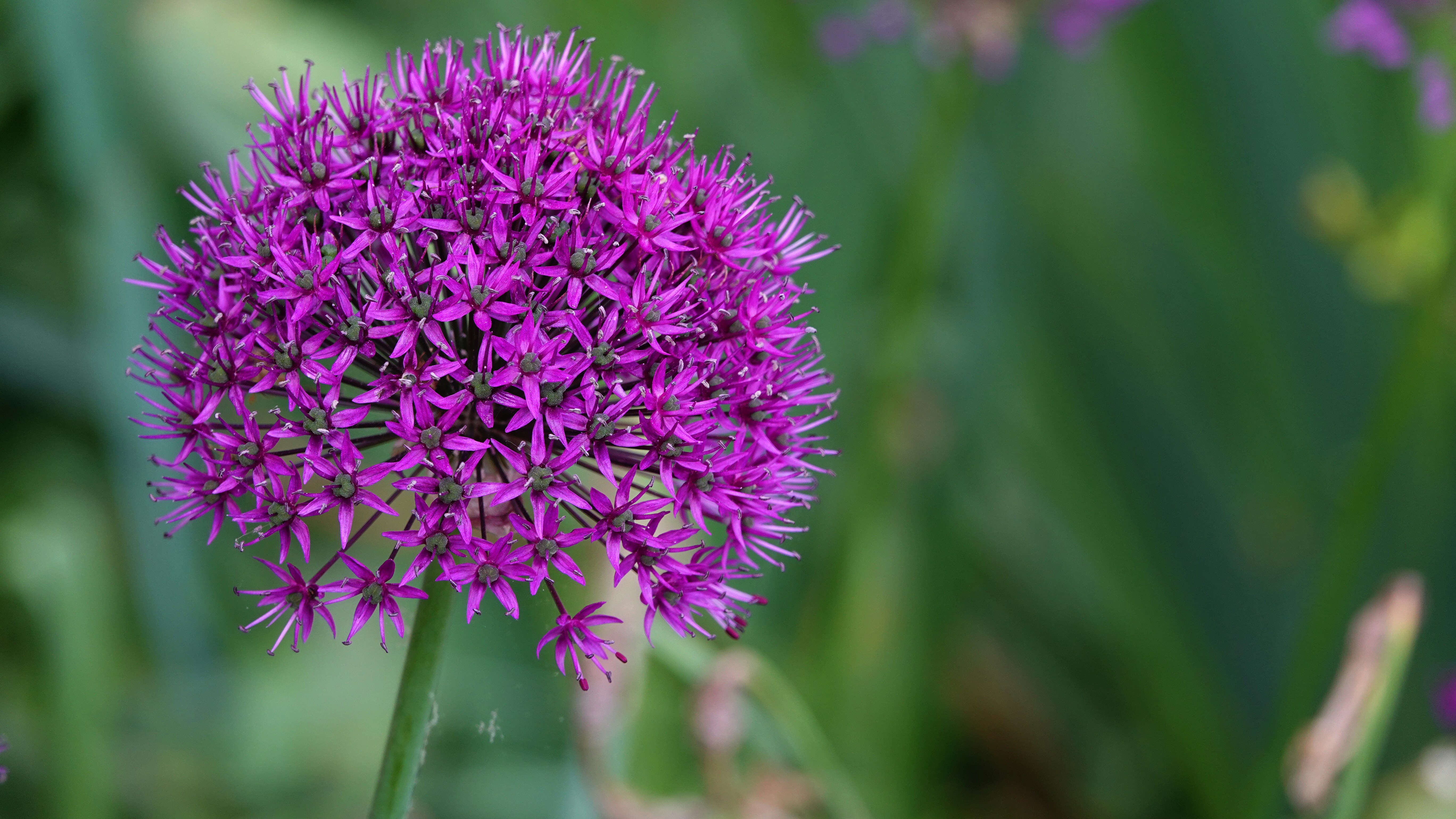 Photo by hooverpaul55