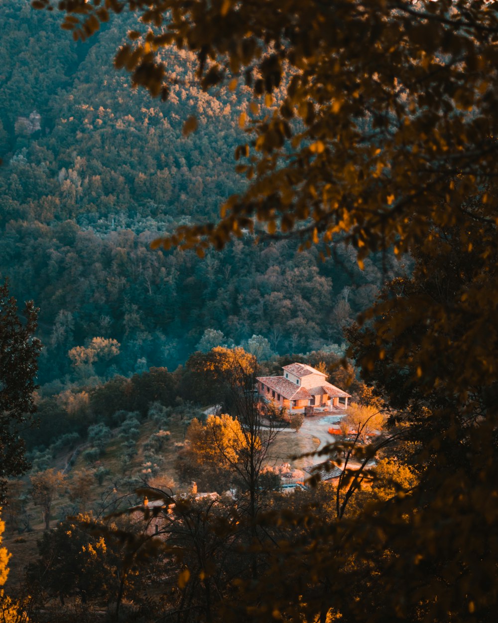 uma casa no meio de uma área arborizada