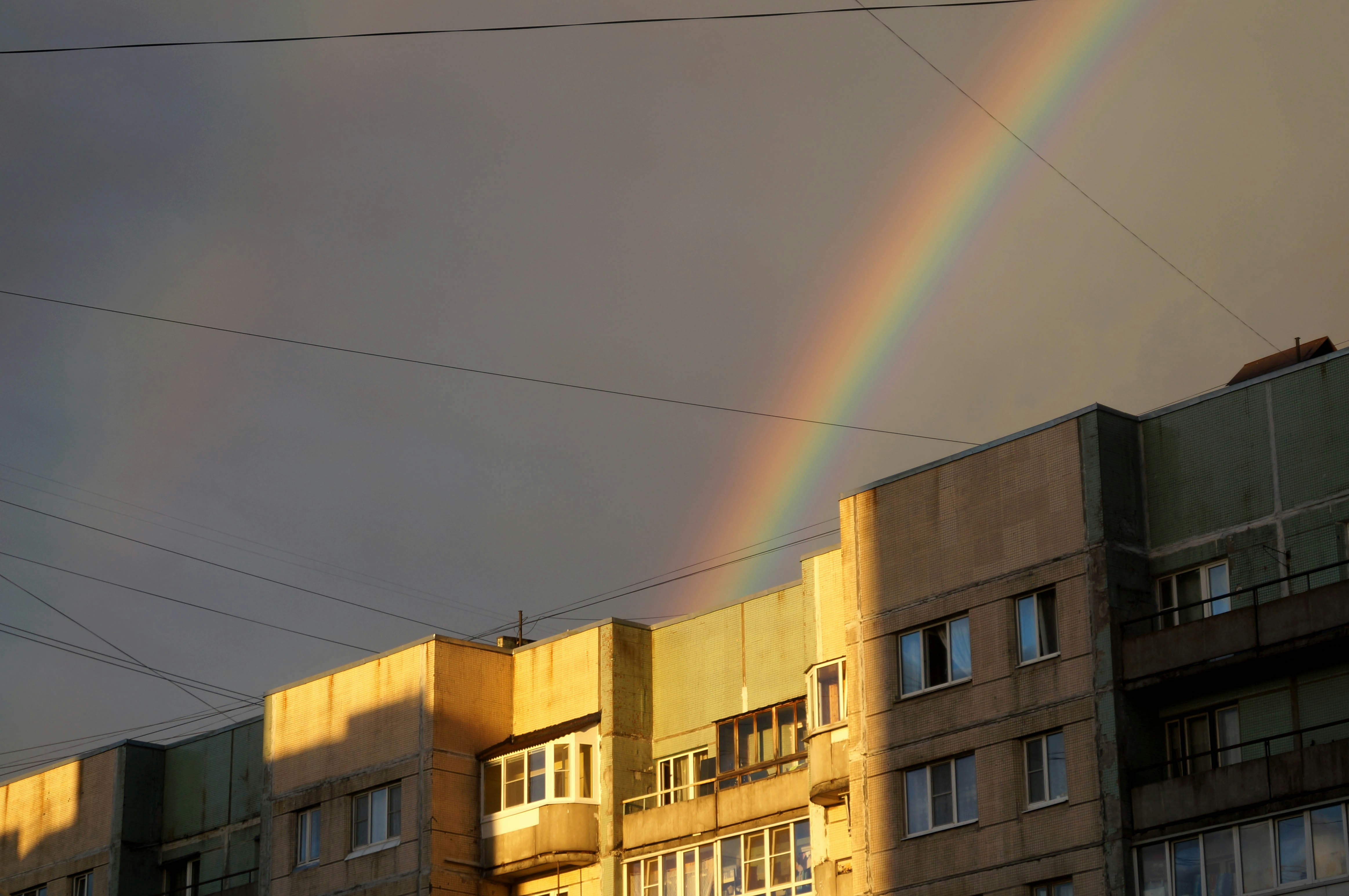 Photo by osintsova
