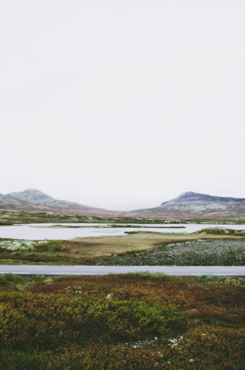 green grass field near body of water during daytime