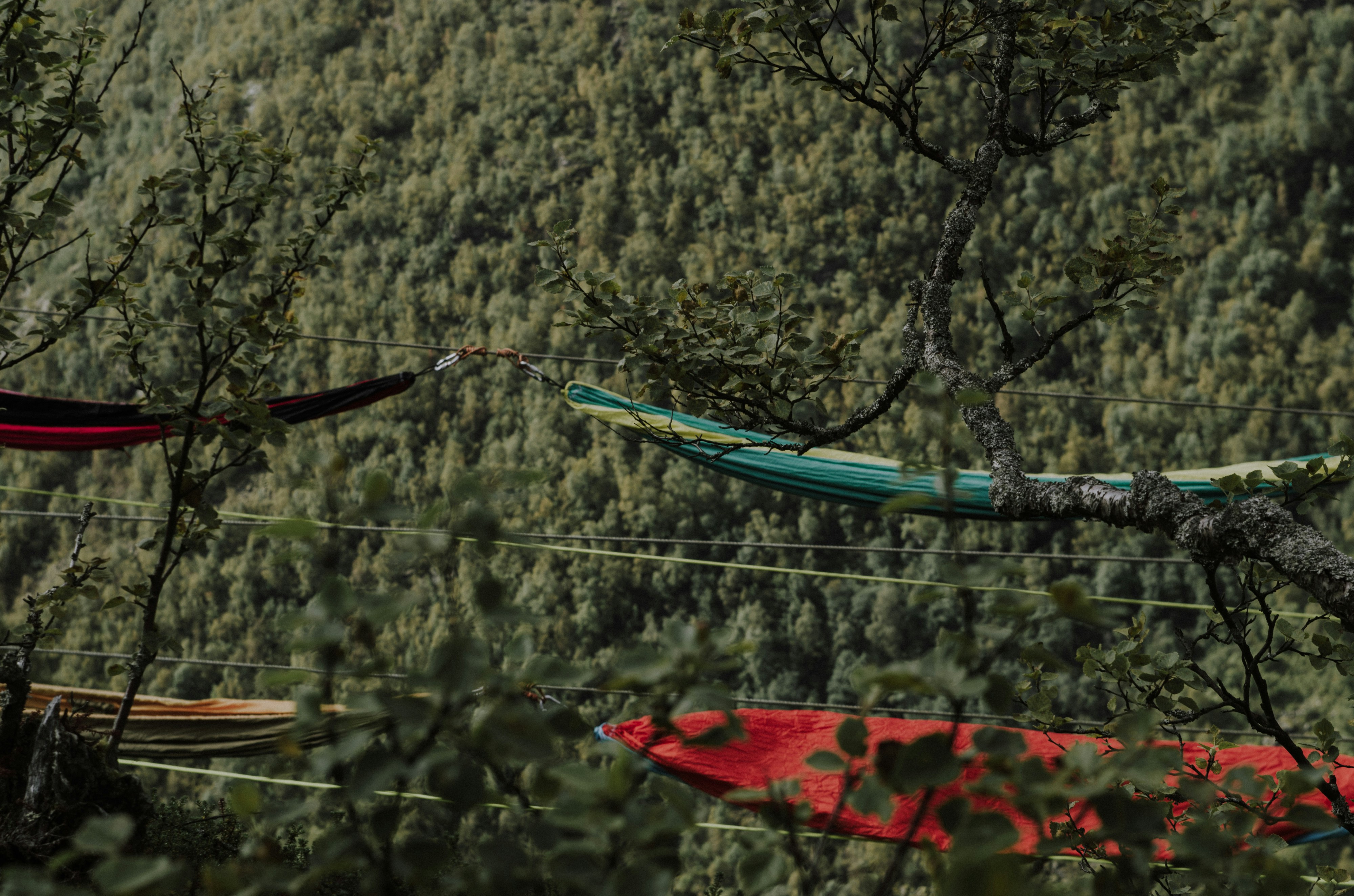 barco vermelho e azul na água