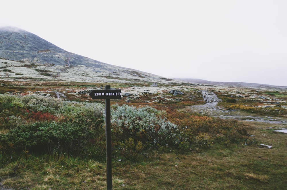 black and white signage near green grass field and mountain during daytime